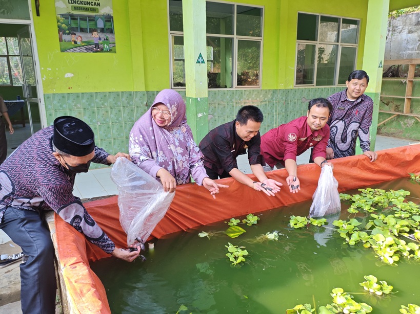 MTsN 1 Way Kanan Lepas Bibit Ikan untuk Kembangkan Wirausaha Madrasah